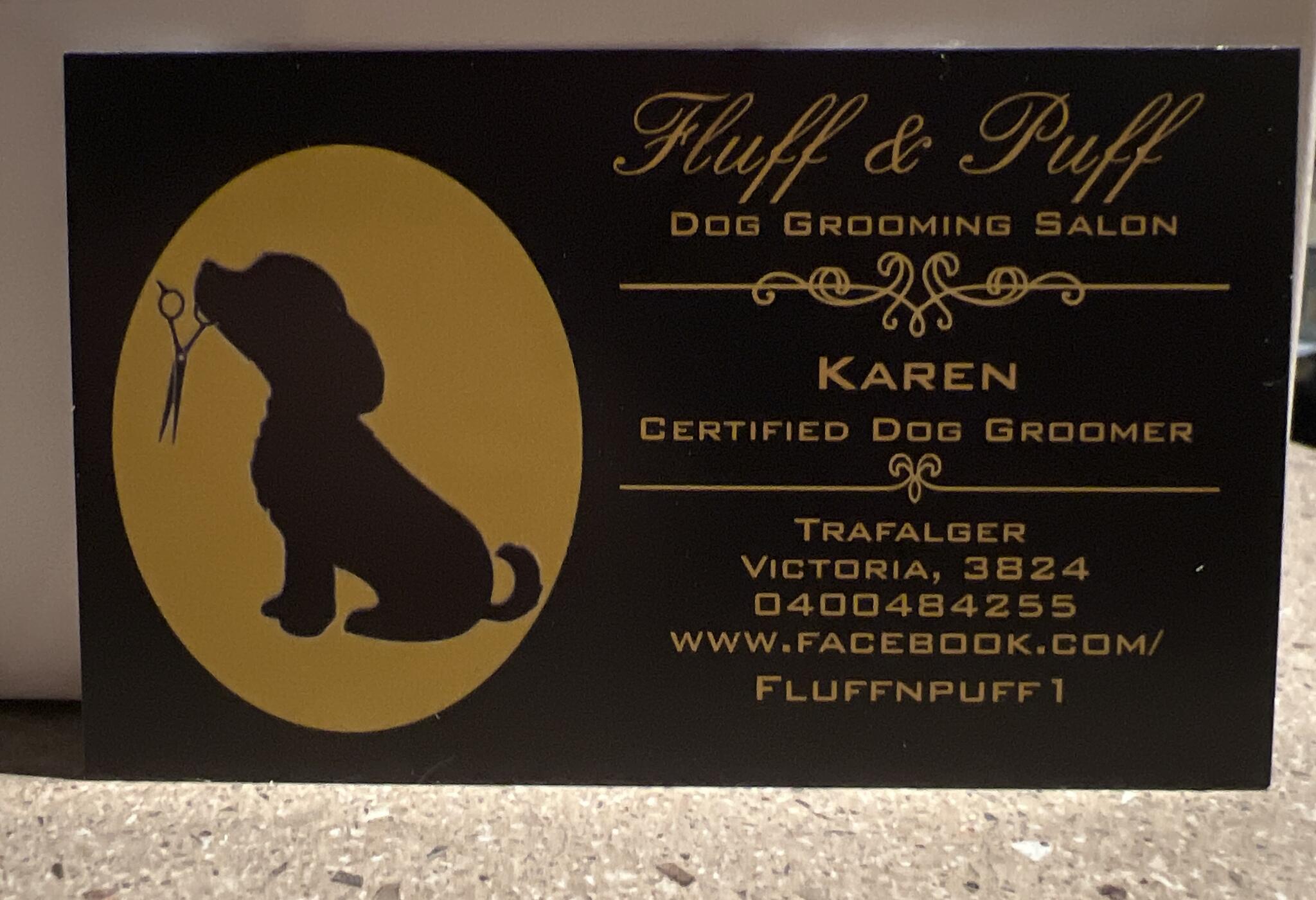 Fluff and puff dog hot sale wash