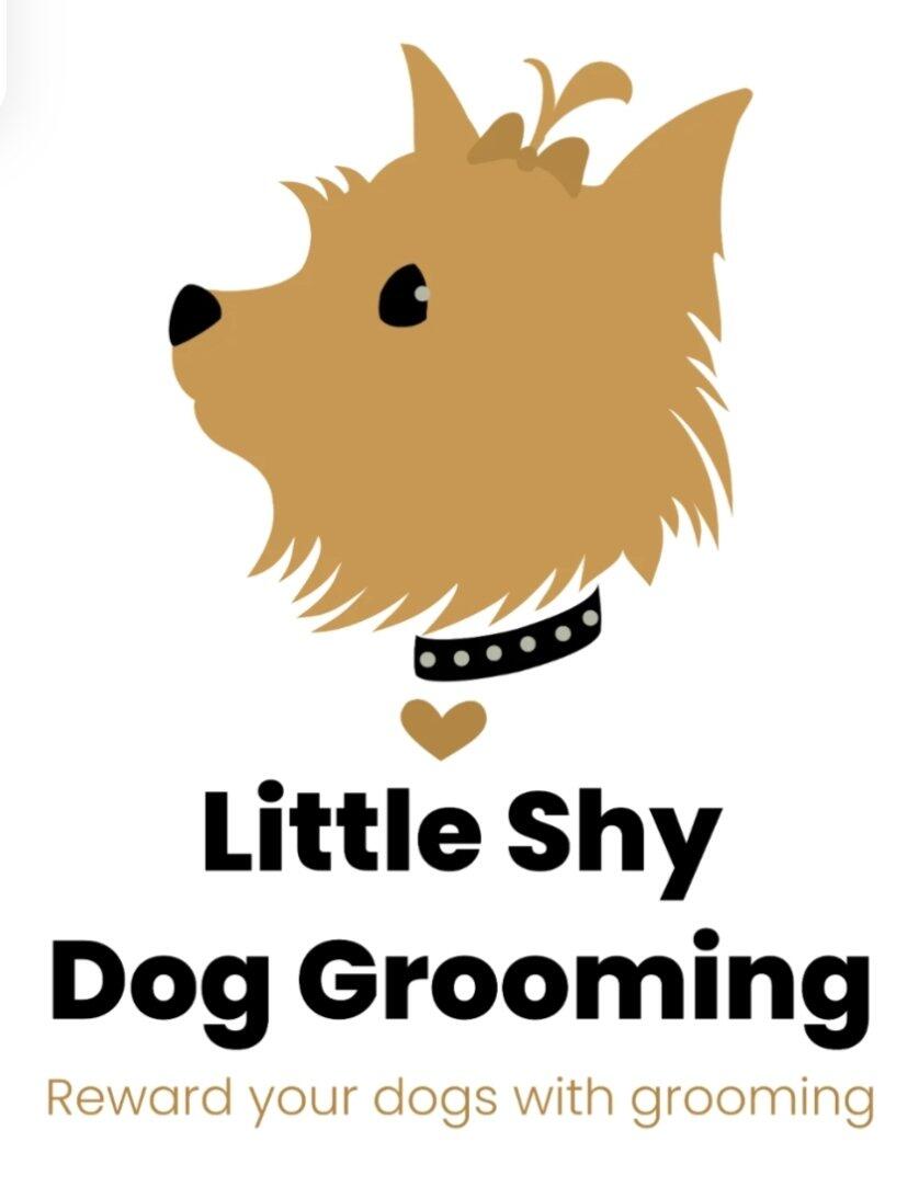 LITTLE SHY DOG GROOMING Adelaide, AUSA Nextdoor