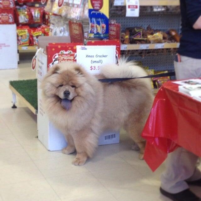 Best Friends Pet Care SuperCentre Maribyrnong Maribyrnong Nextdoor