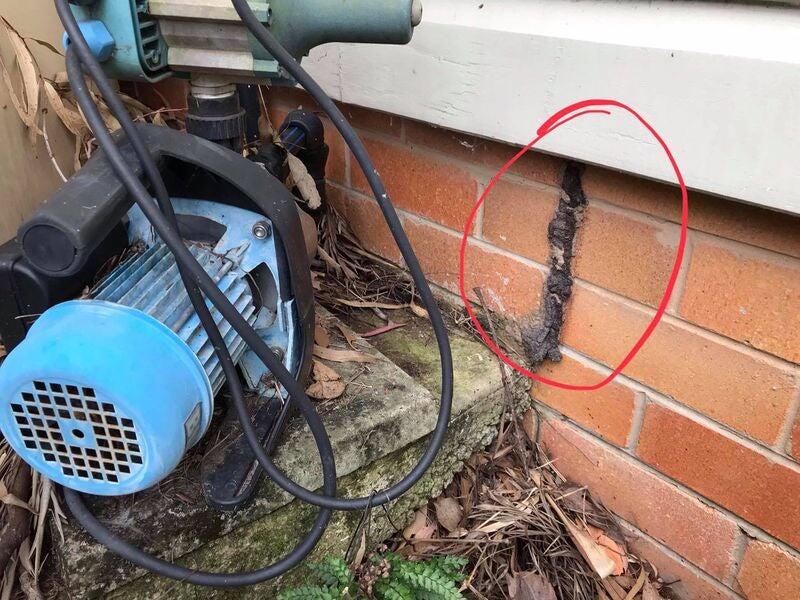 Ironside Building, Pest & Pool Inspections - South Brisbane - Nextdoor