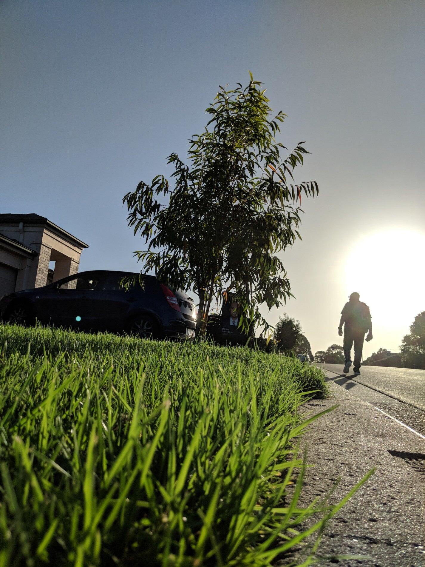 Kmart Stanhope Gardens Phone Fasci Garden