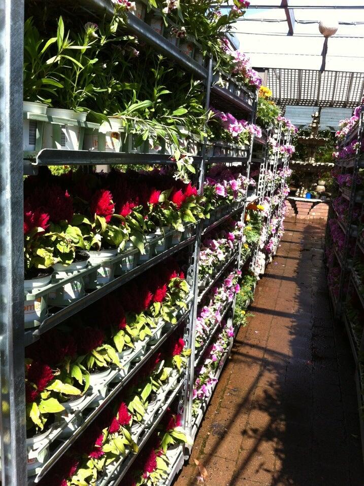 Flower Power Enfield Trading Hours Best Flower Site