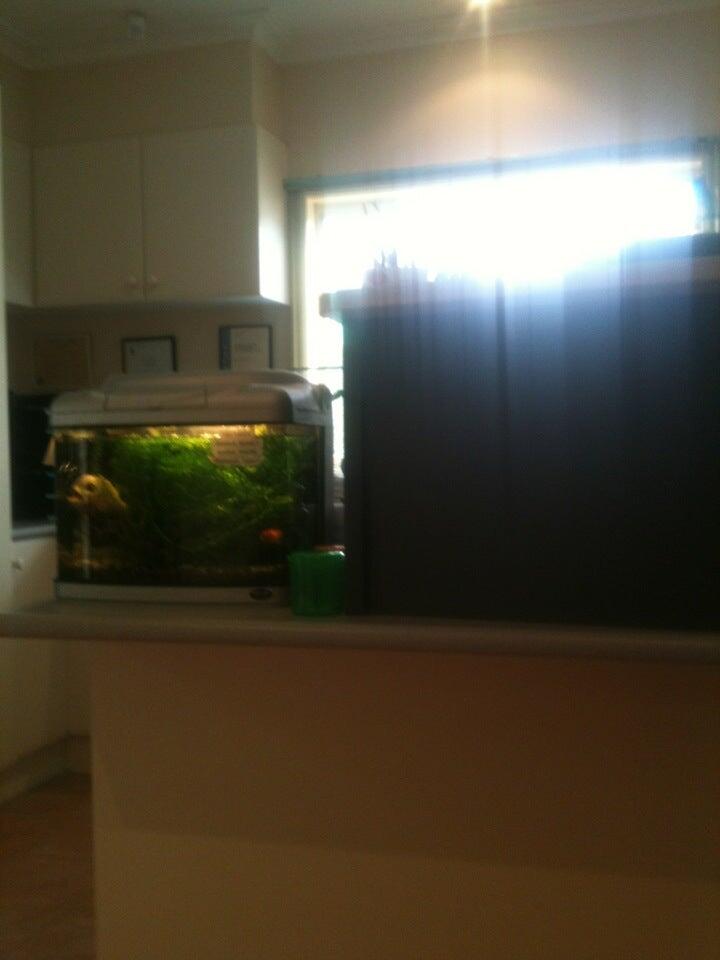 Box Hill Speech Pathology Clinic Box Hill North Nextdoor