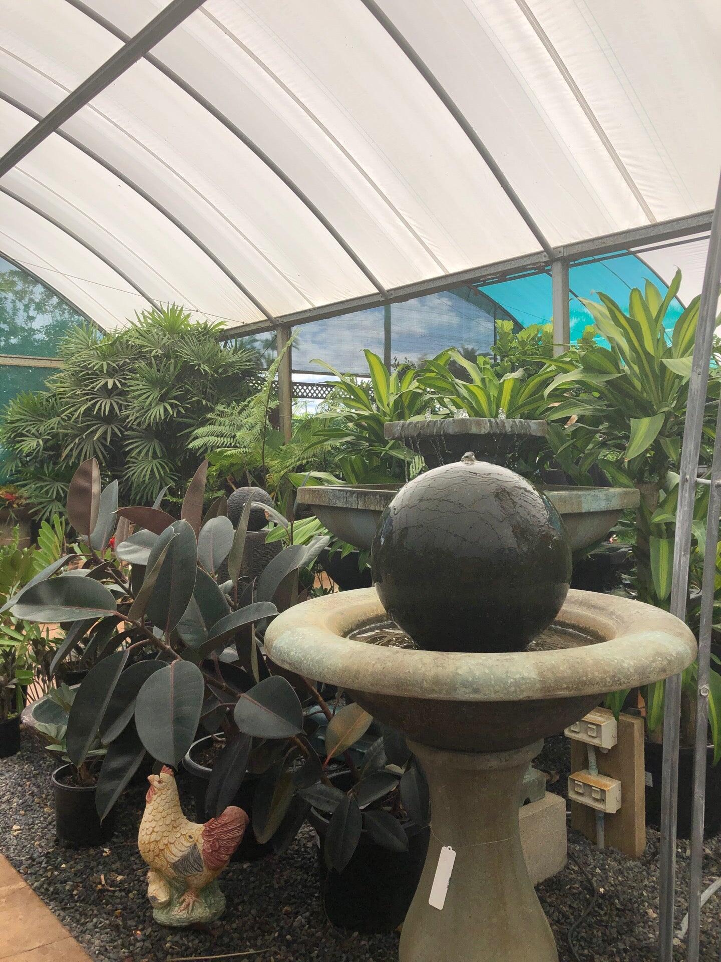 Plants Plus Thornlands Timbara Nursery Thornlands Nextdoor