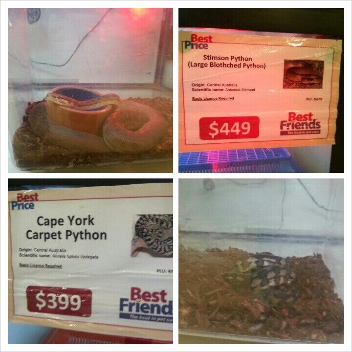 Best Friends Pet Care Centre Cranbourne Nextdoor