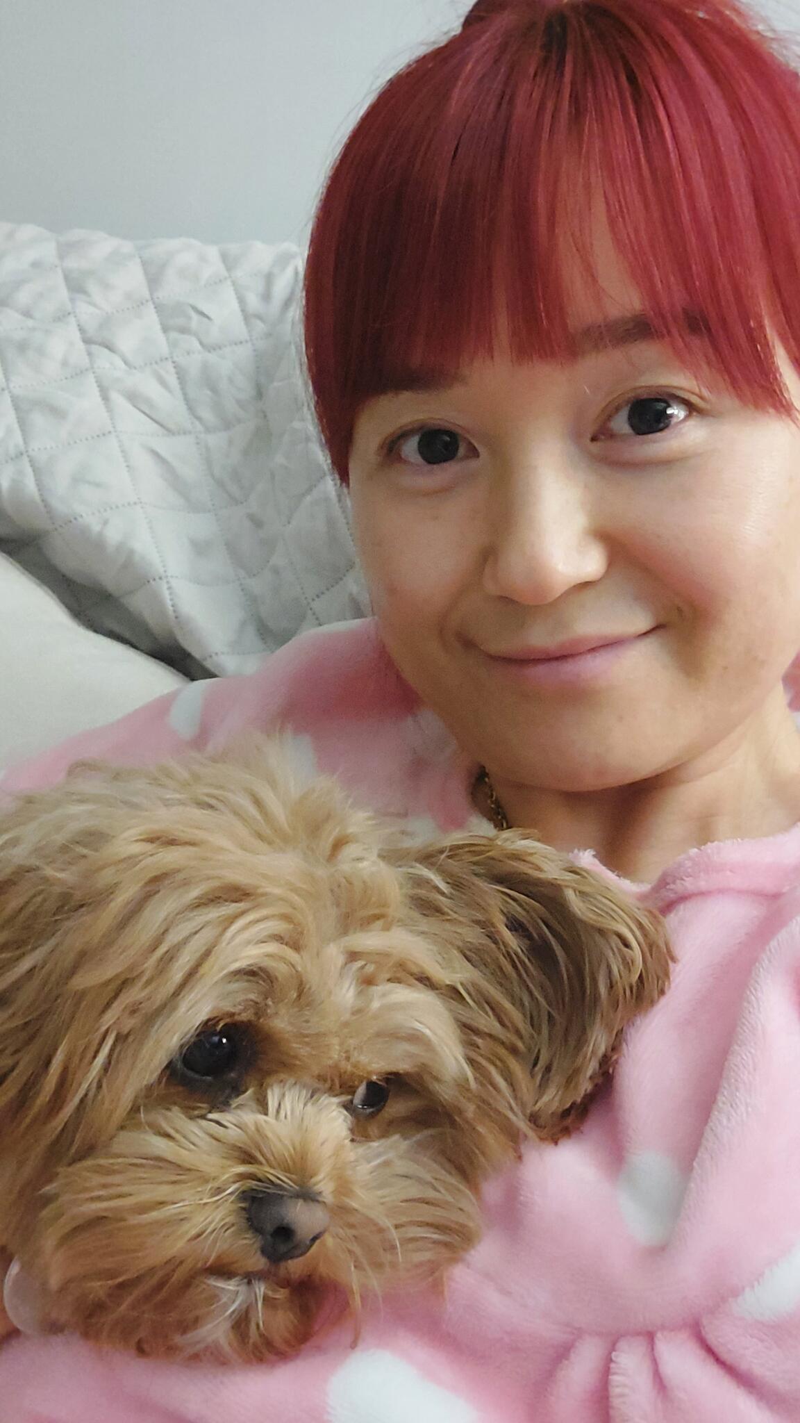 holiday-pet-sitting-brisbane-au-qld-nextdoor