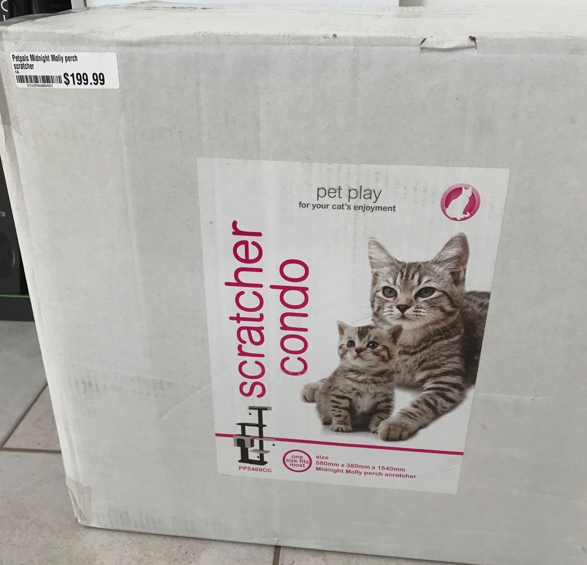 midnight molly cat scratcher