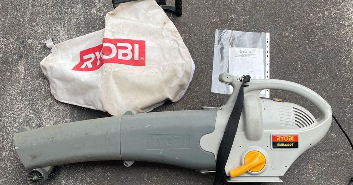 Ryobi Electric blower for $40 in 